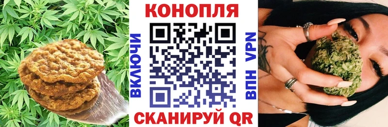 Canna-Cookies конопля  где купить наркоту  Пятигорск 