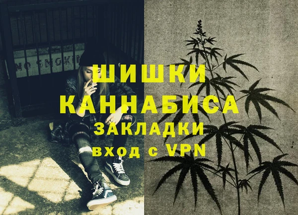 ПСИЛОЦИБИНОВЫЕ ГРИБЫ Баксан