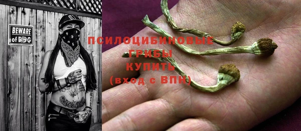 ПСИЛОЦИБИНОВЫЕ ГРИБЫ Баксан