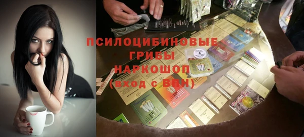 ПСИЛОЦИБИНОВЫЕ ГРИБЫ Баксан