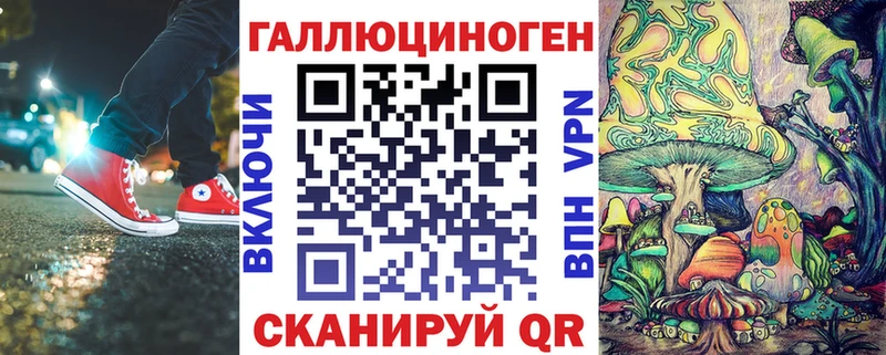 как найти Пятигорск Псилоцибиновые грибы MAGIC MUSHROOMS